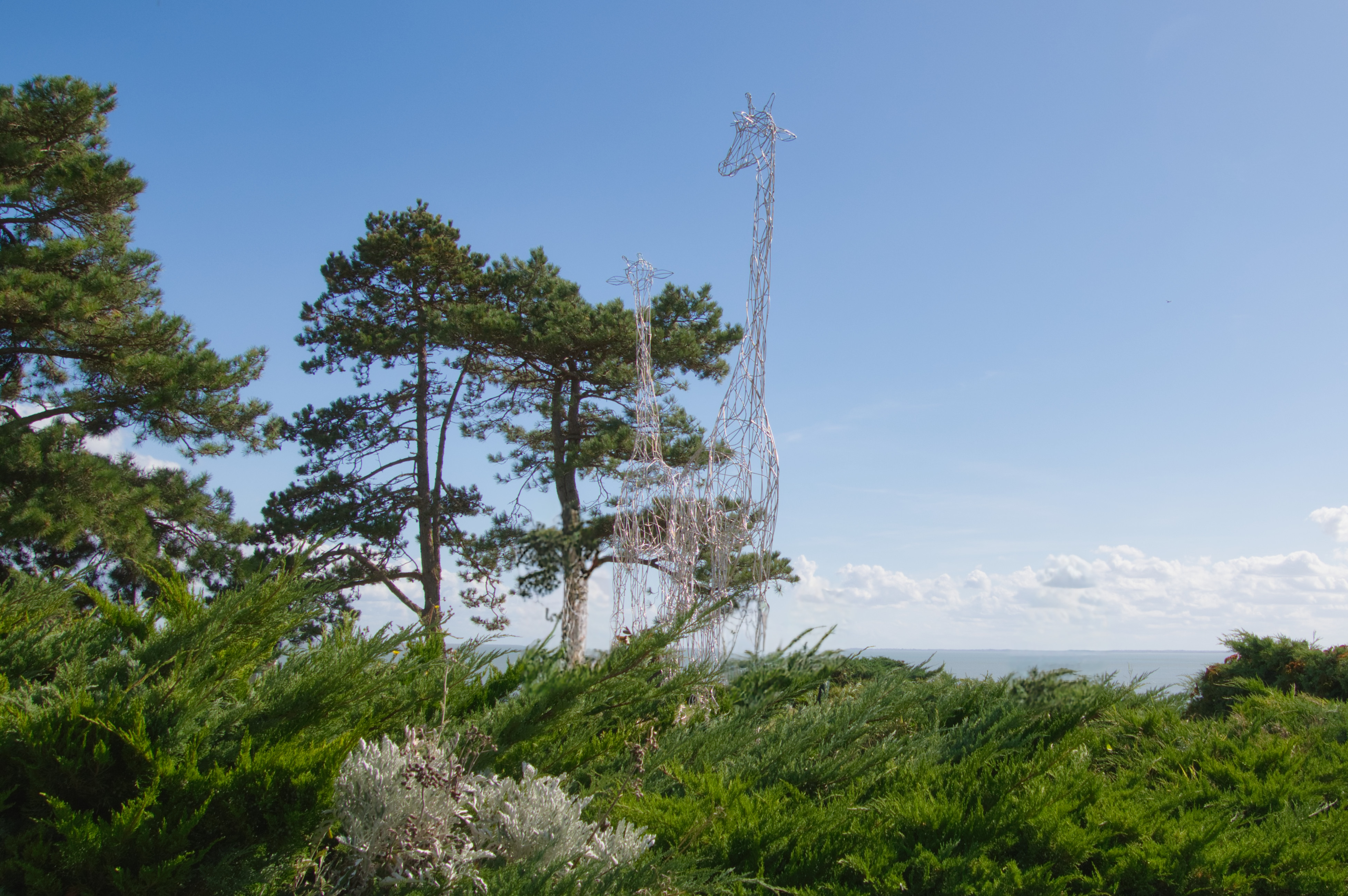 Cette œuvre monumentale et aérienne est installée à Meschers sur Gironde (Charente Maritime), précisément au niveau du square de la Guicharde, près de l'entrée des grottes du Régulus artiste Gleb Dusavitsk ( (3)