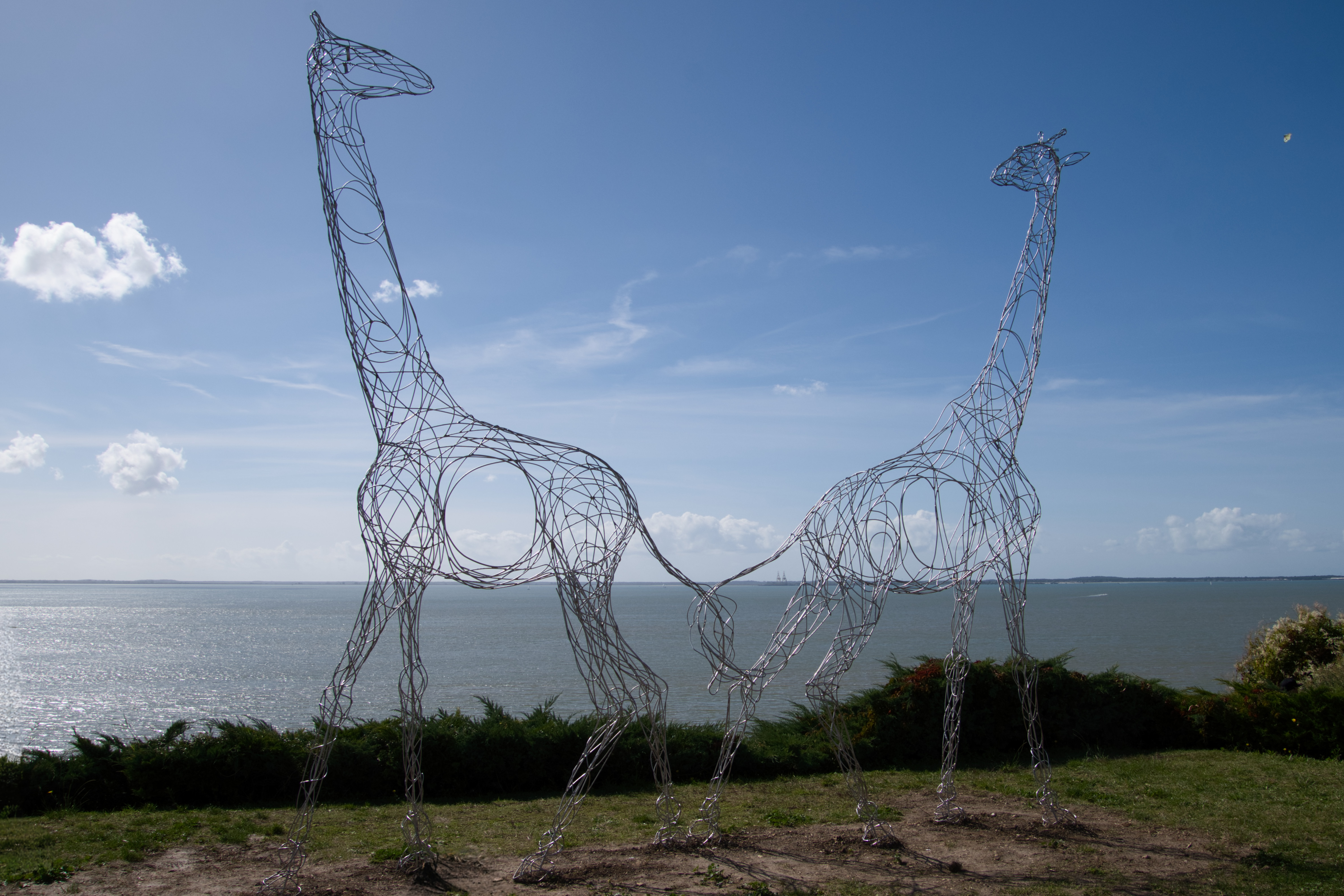 Cette œuvre monumentale et aérienne est installée à Meschers sur Gironde (Charente Maritime), précisément au niveau du square de la Guicharde, près de l'entrée des grottes du Régulus artiste Gleb Dusavitsk ( (4)
