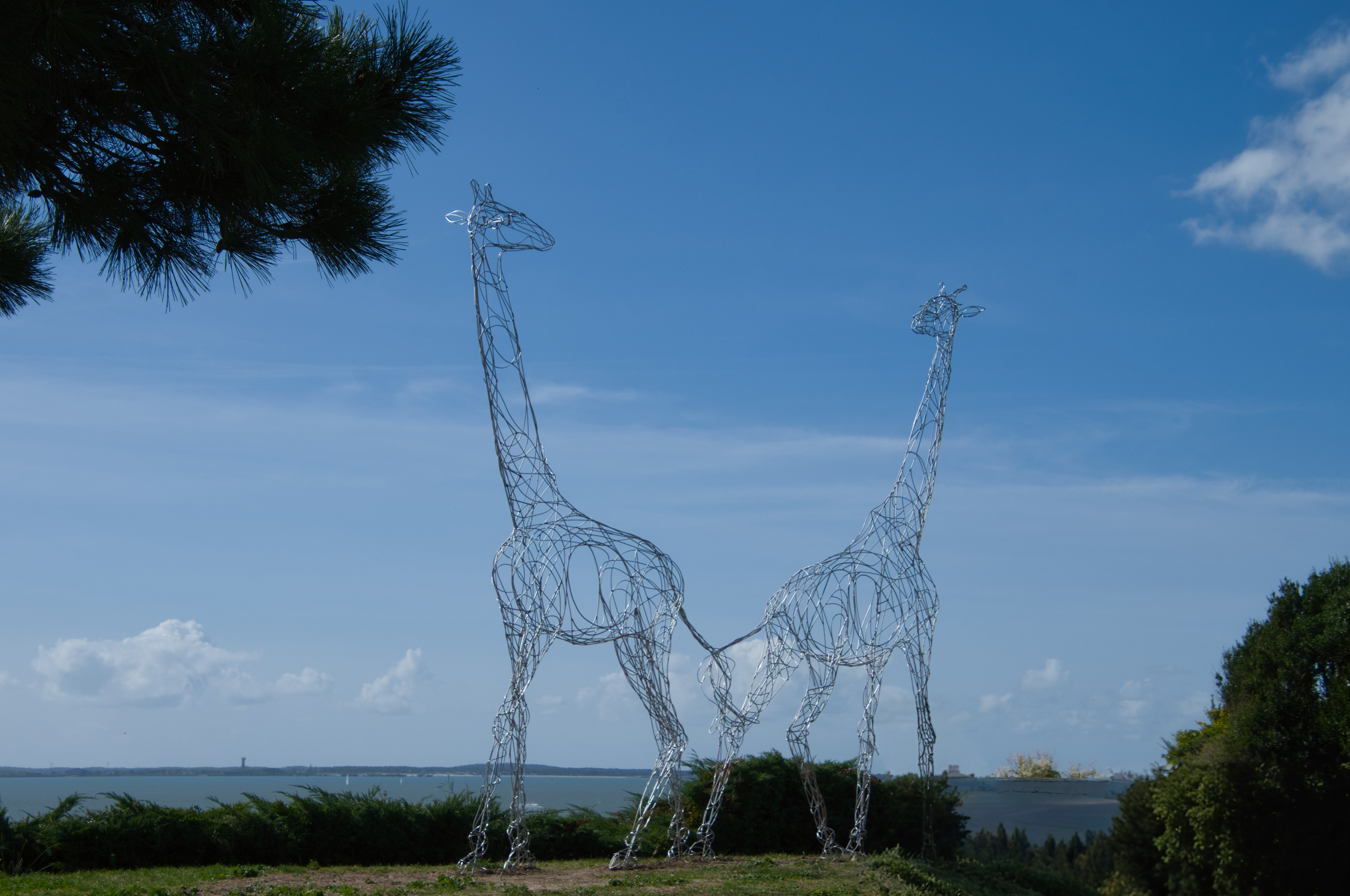 Cette œuvre monumentale et aérienne est installée à Meschers sur Gironde (Charente Maritime), précisément au niveau du square de la Guicharde, près de l'entrée des grottes du Régulus artiste Gleb Dusavitsk (1)