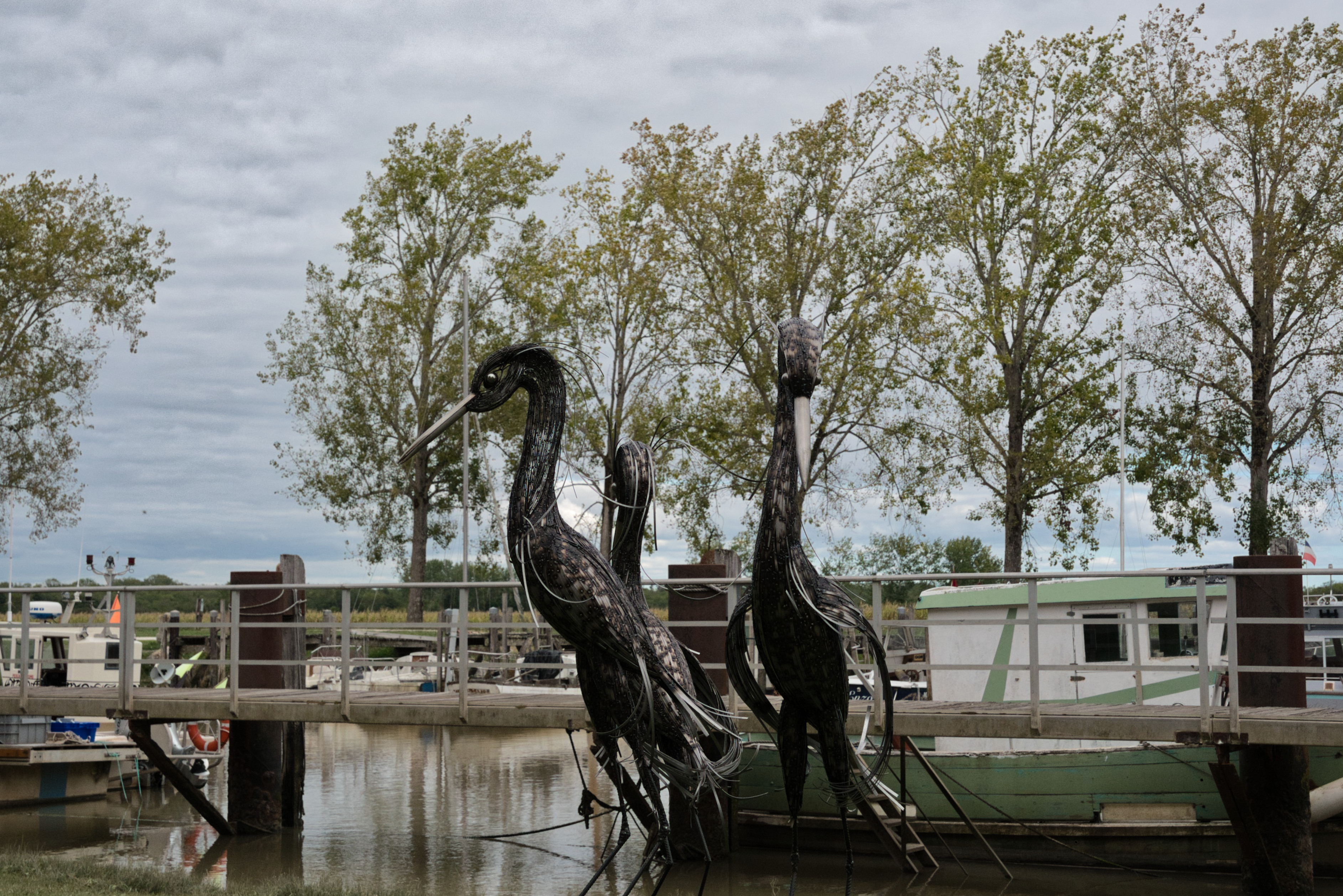 Une installation monumentale représentant trois grands hérons sculptés par l'artiste Laurent Garreau (1)