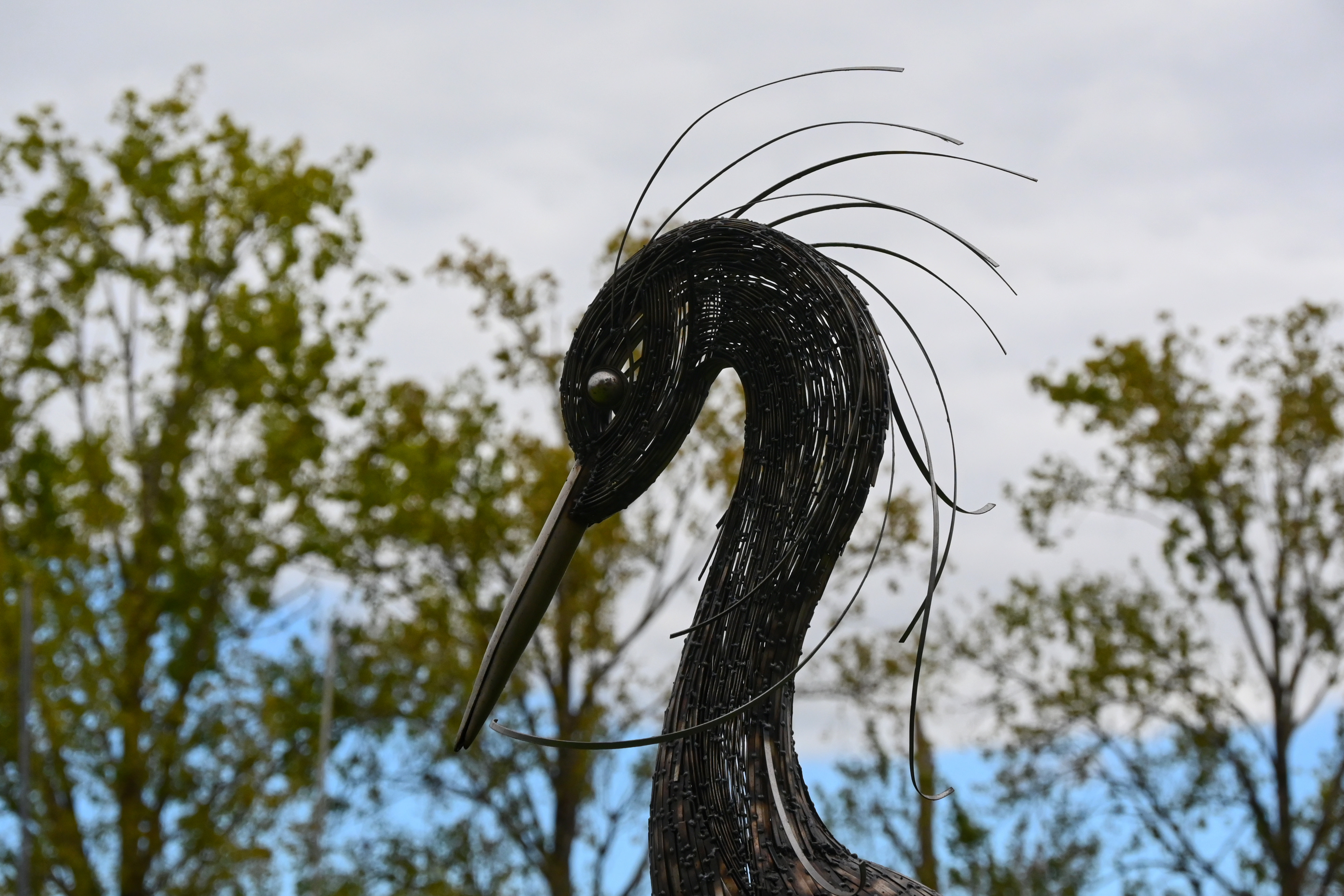 Une installation monumentale représentant trois grands hérons sculptés par l'artiste Laurent Garreau (5)