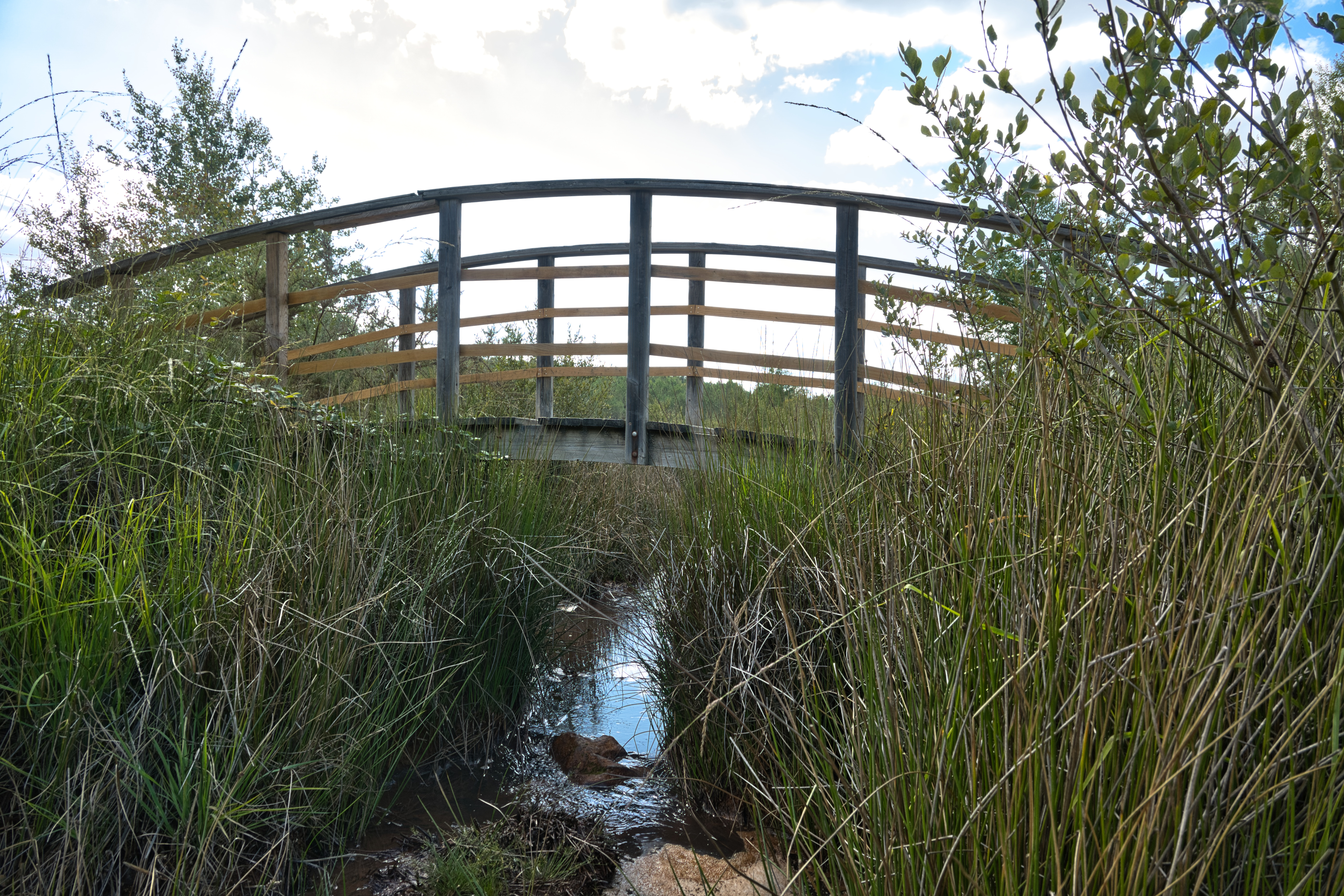 Les eaux secrètes de Guizengeard (10)