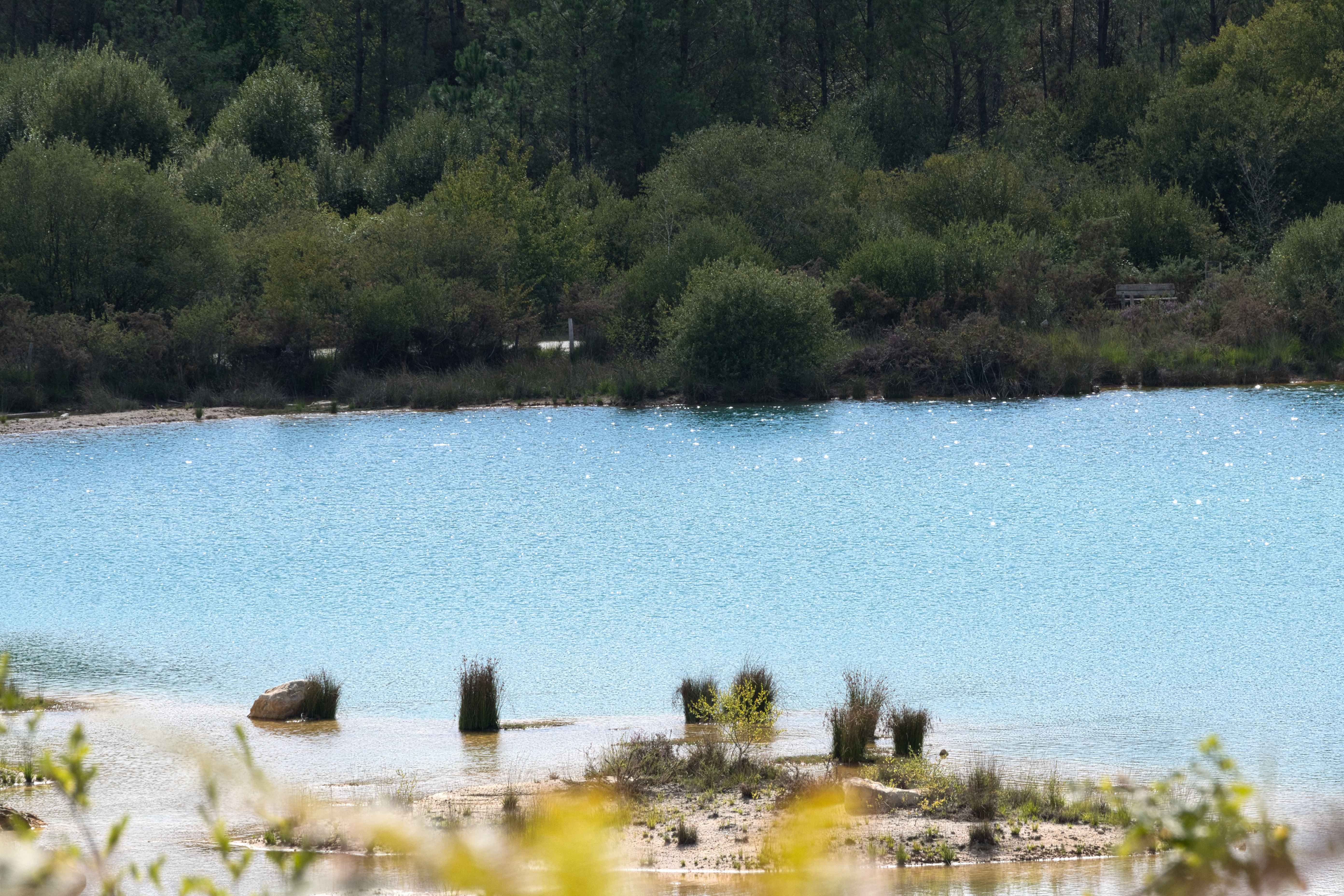 Les eaux secrètes de Guizengeard (22)