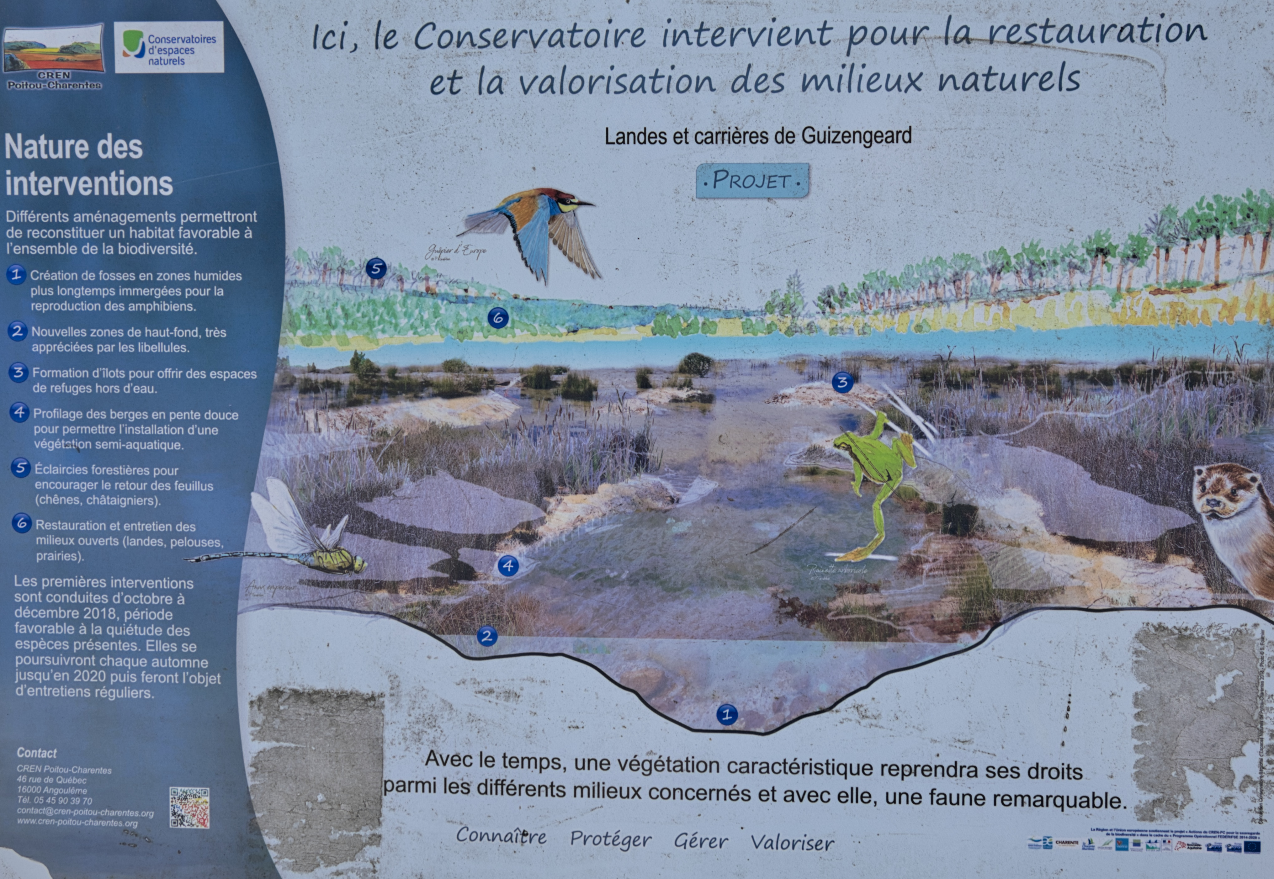 Les eaux secrètes de Guizengeard (9)