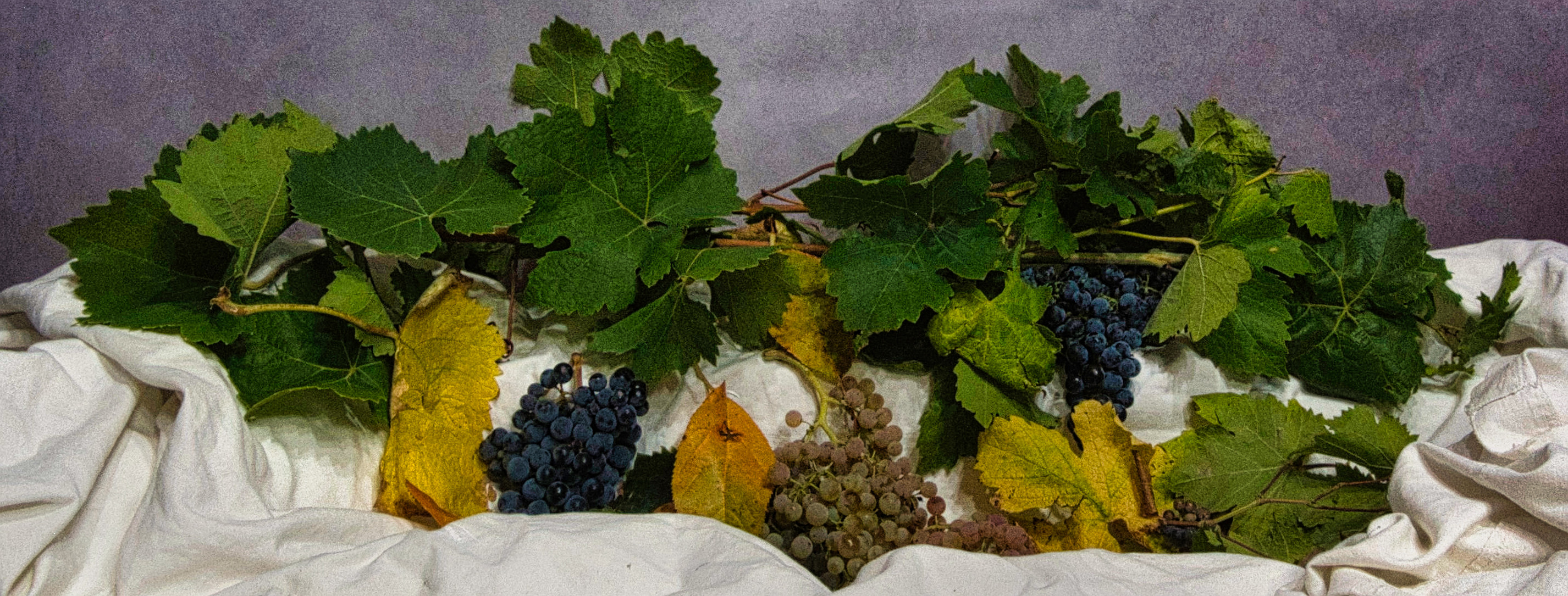 Nature Morte Aout 26 (10)